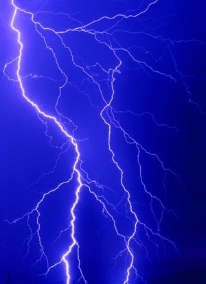 Espera-se que os inibidores de KMO possam proteger as células contra danos causados por estimulação elétrica ou química excessiva - conhecida como morte excitotóxica  