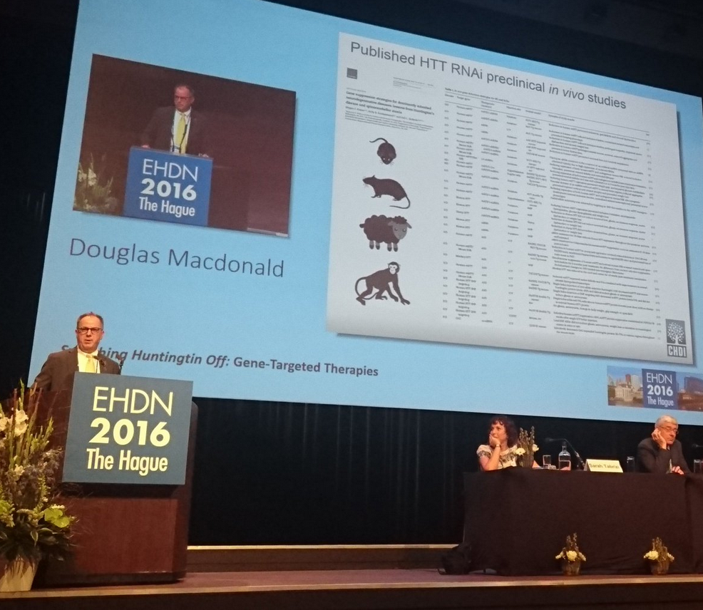 Dr. Doug Macdonald referiu o grande número de estudos sobre redução da huntingtina feitos em modelos animais. Agora, estamos a testar estes fármacos em doentes!
