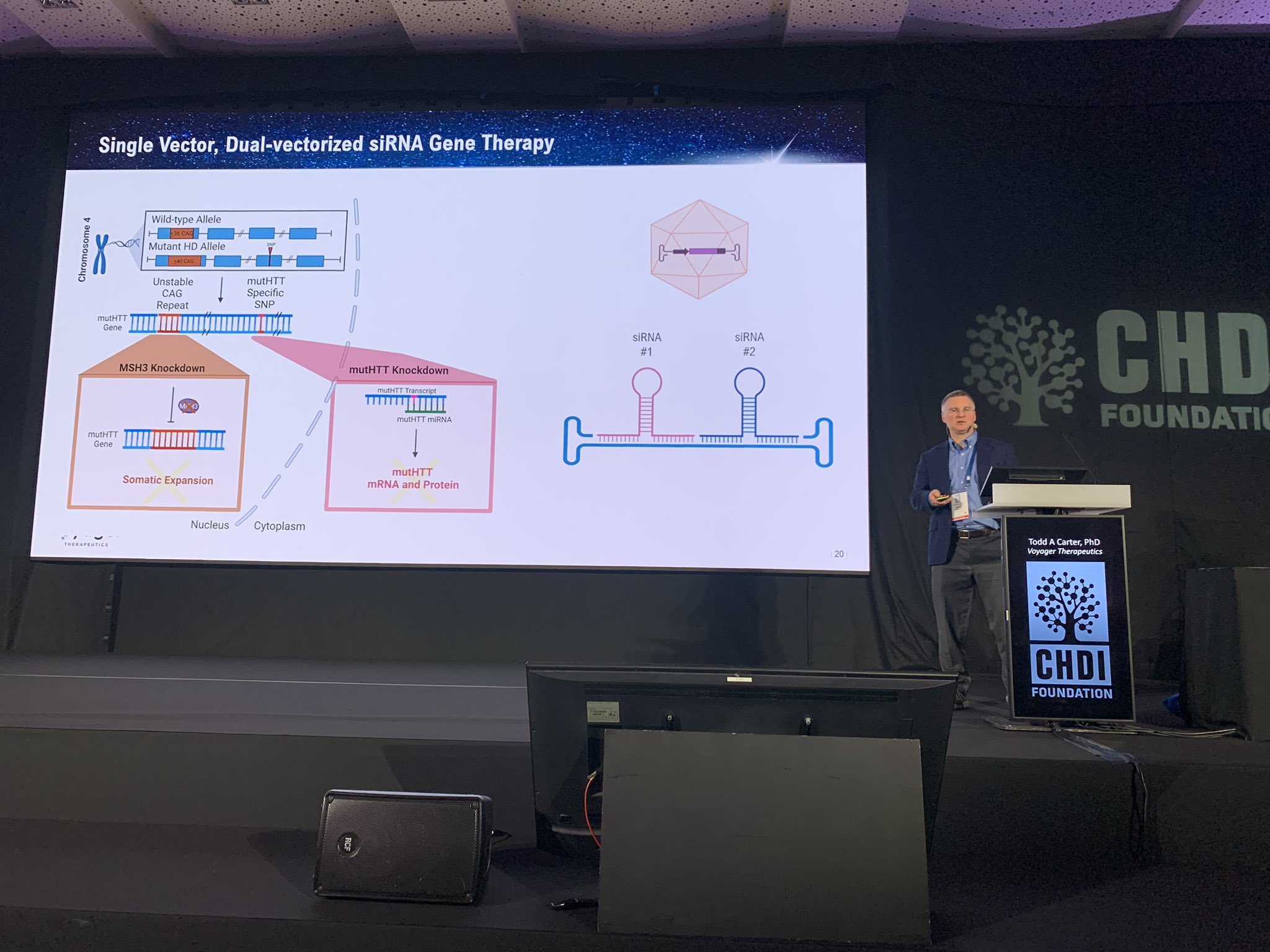 É uma dupla vantagem!! O Dr. Todd Carter, da Voyager Therapeutics, apresenta a sua nova tecnologia viral que lhes permitiria entregar terapêuticas contra DOIS alvos no cérebro.