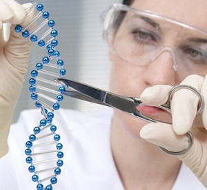 Podemos pensar no sistema CRISPR como uma tesoura genética. Para editar com o CRISPR, é adicionado um pedaço de código genético e uma proteína que faz o corte. O código genético diz à tesoura onde cortar. Voilà!