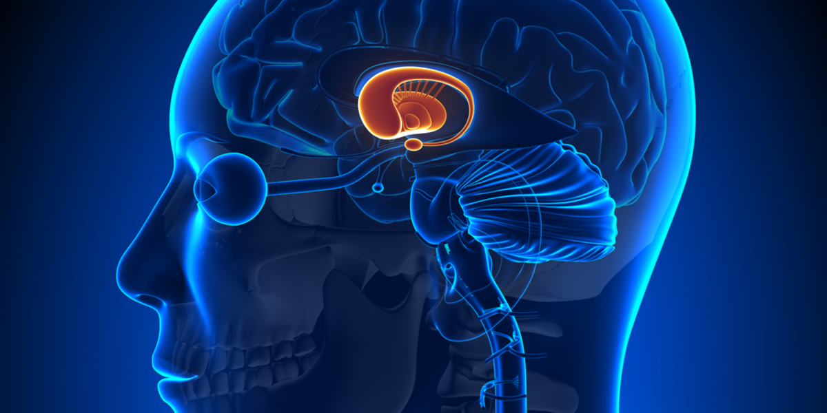 O cérebro na doença de Huntington: maior do que a soma das suas partes?