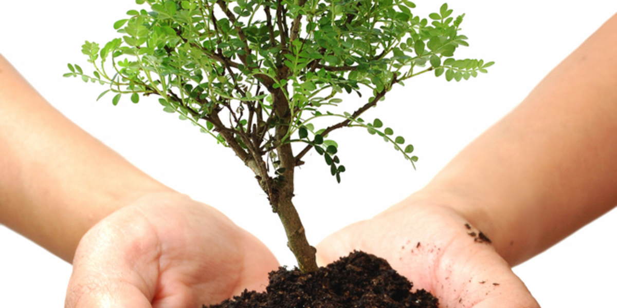 A plantar árvores juntos: Convenção da Sociedade Americana da Doença de Huntington 2016