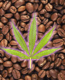 Cafeína, cannabis e cautela