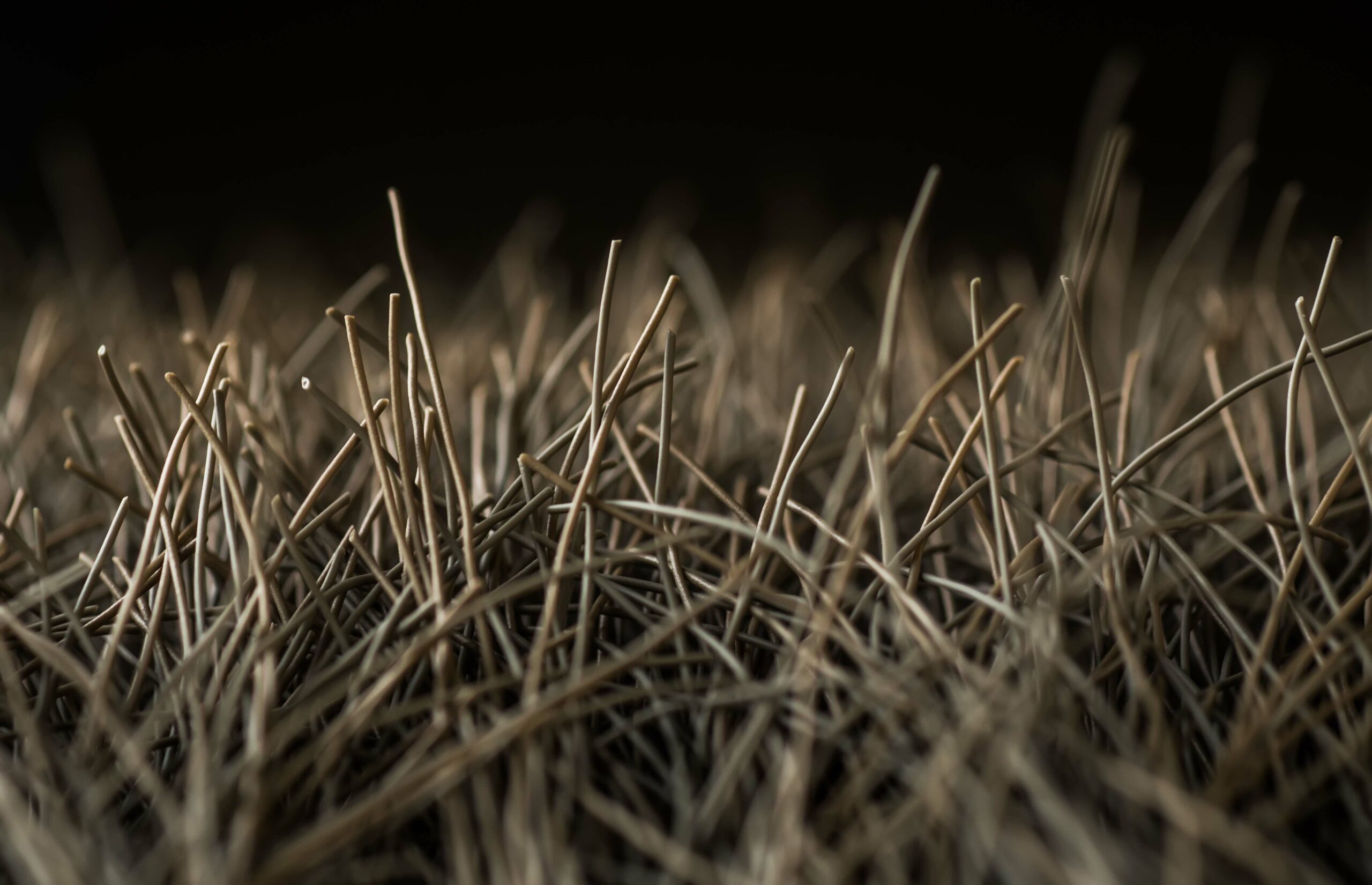 Novo estudo revela um potencial biomarcador de DH