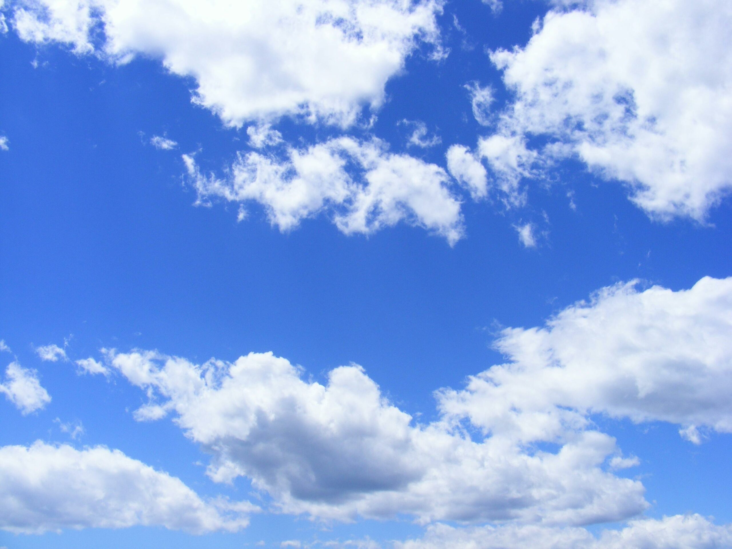 Céu azul para a Skyhawk: Notícias positivas do ensaio de fase 1 do SKY-0515