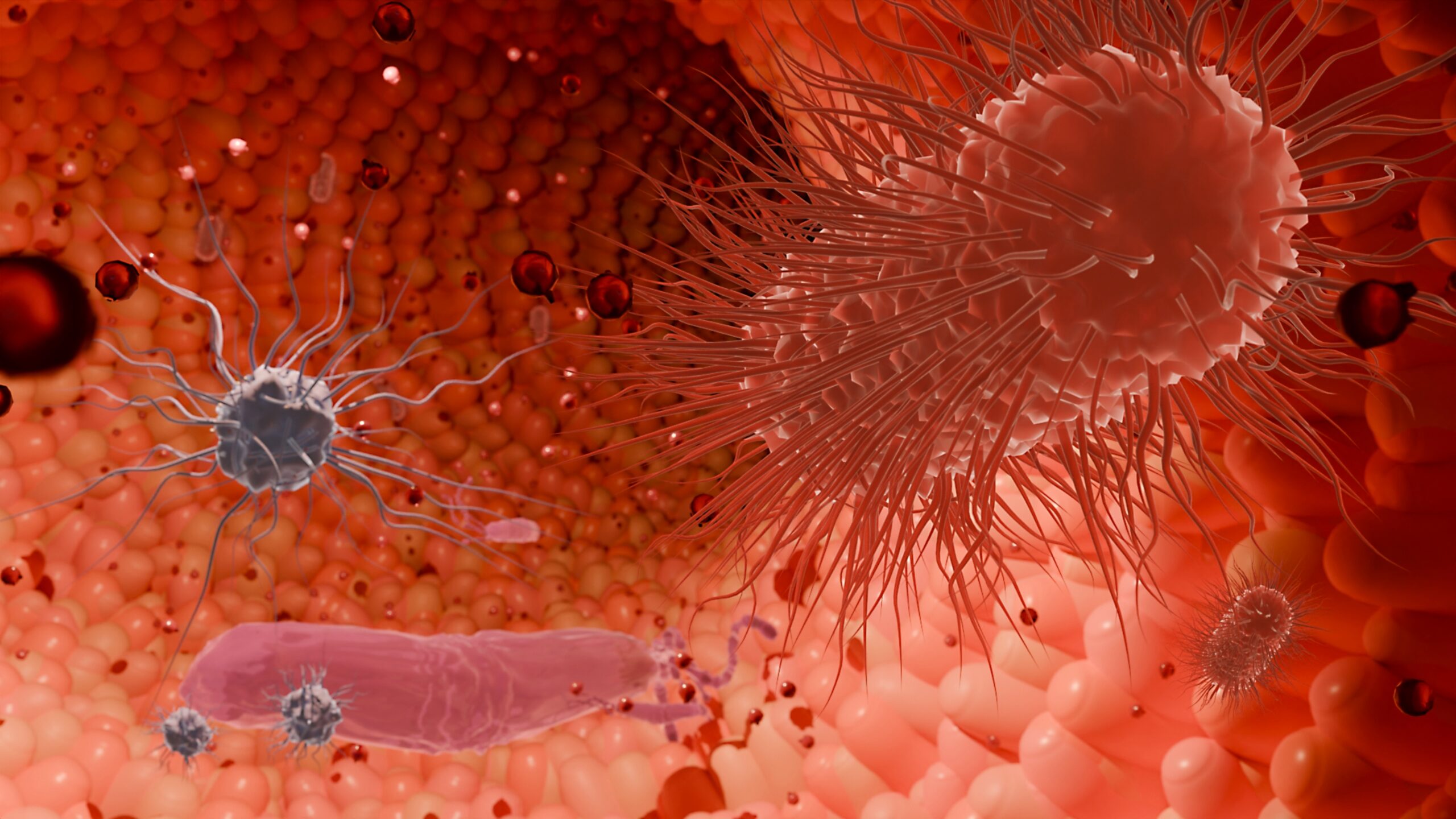 Alimentar o cérebro através do intestino: como os prebióticos podem moldar a doença de Huntington