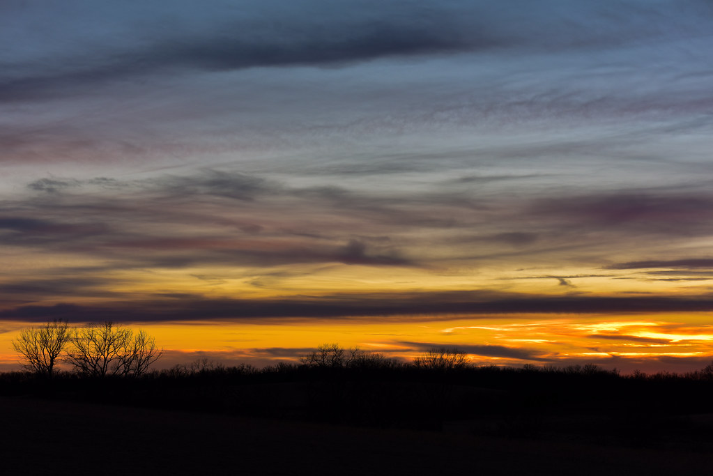 Passar a escrito: o fármaco oral branaplam reduziu a huntingtina, mas preocupações com a segurança interromperam o desenvolvimento