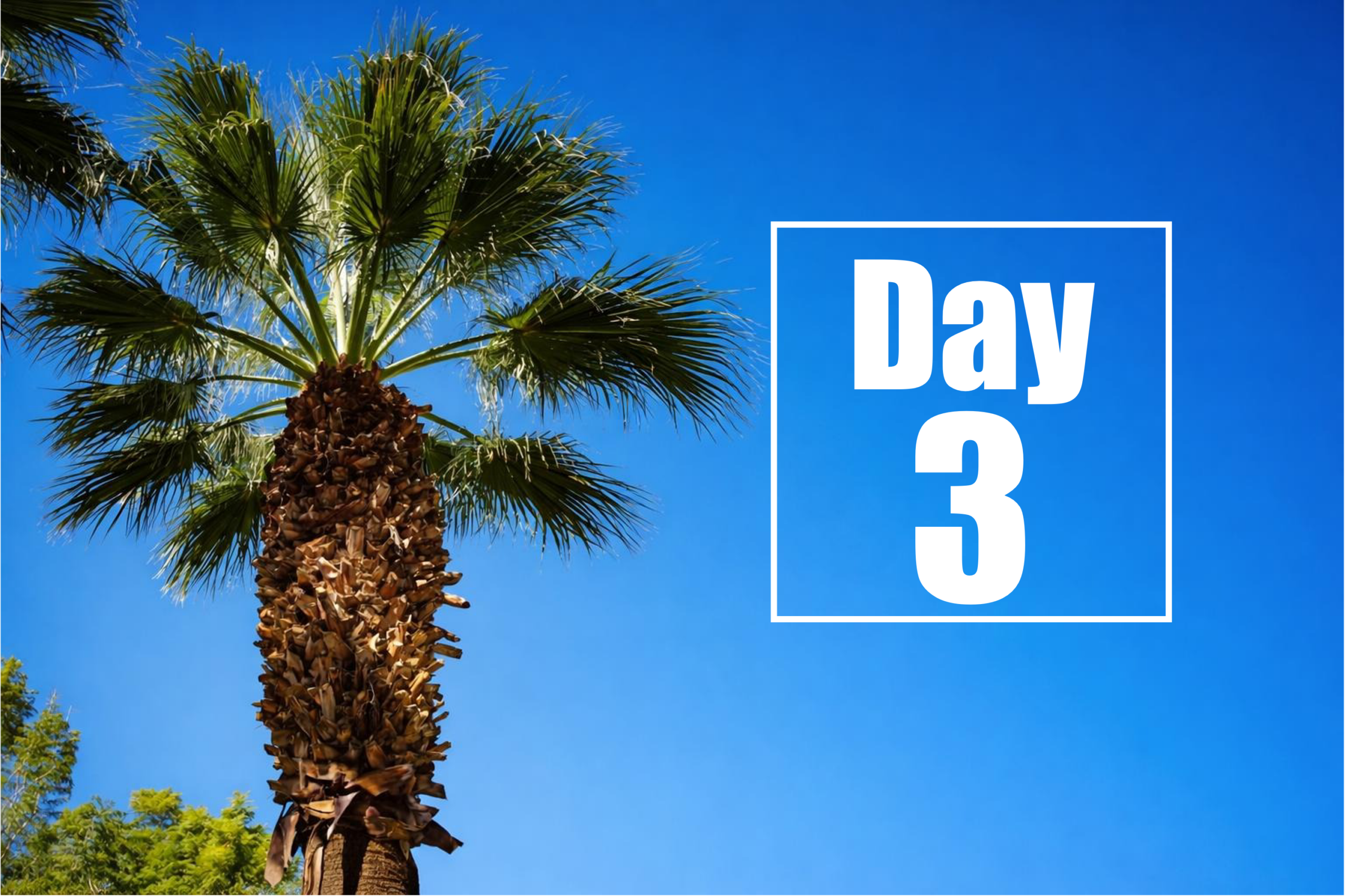 Conferência de Terapêutica da Doença de Huntington 2026 – Dia 3