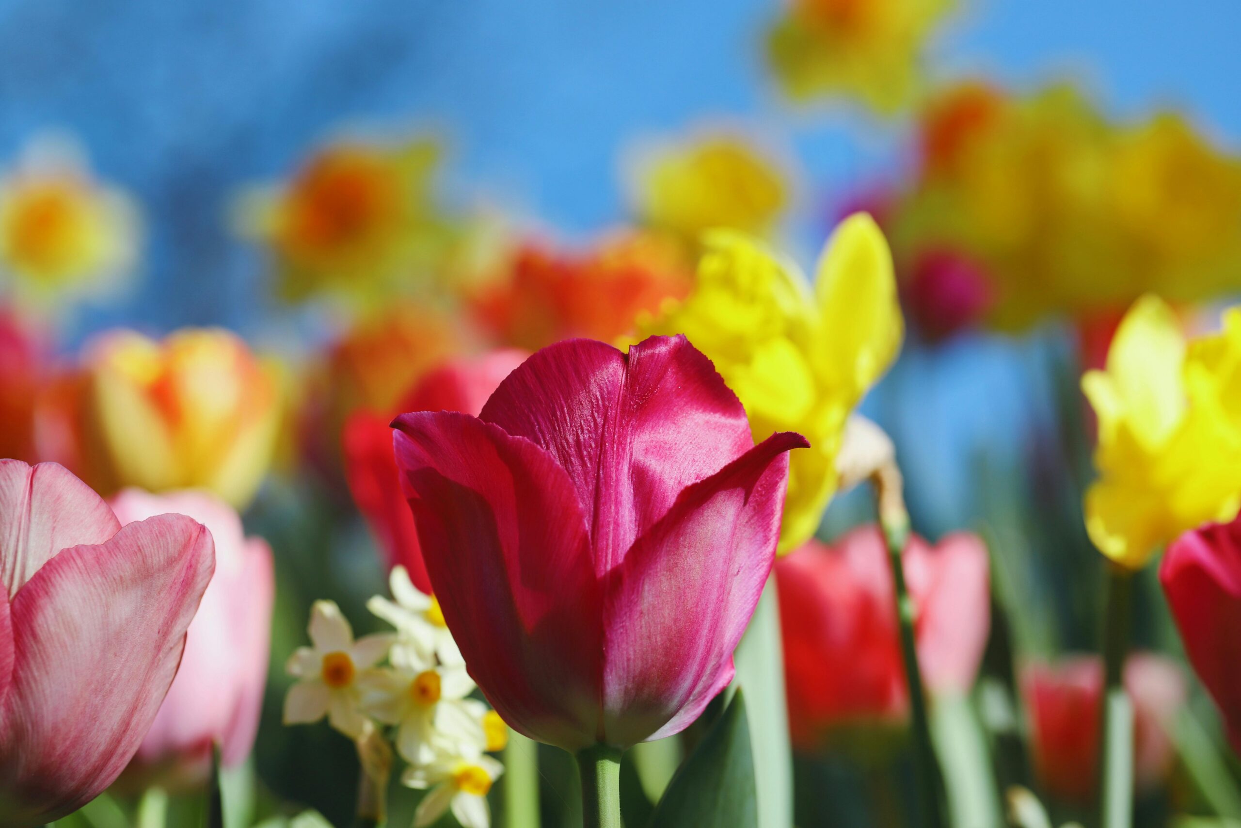 Abril de 2026: Este mês na investigação sobre a Doença de Huntington